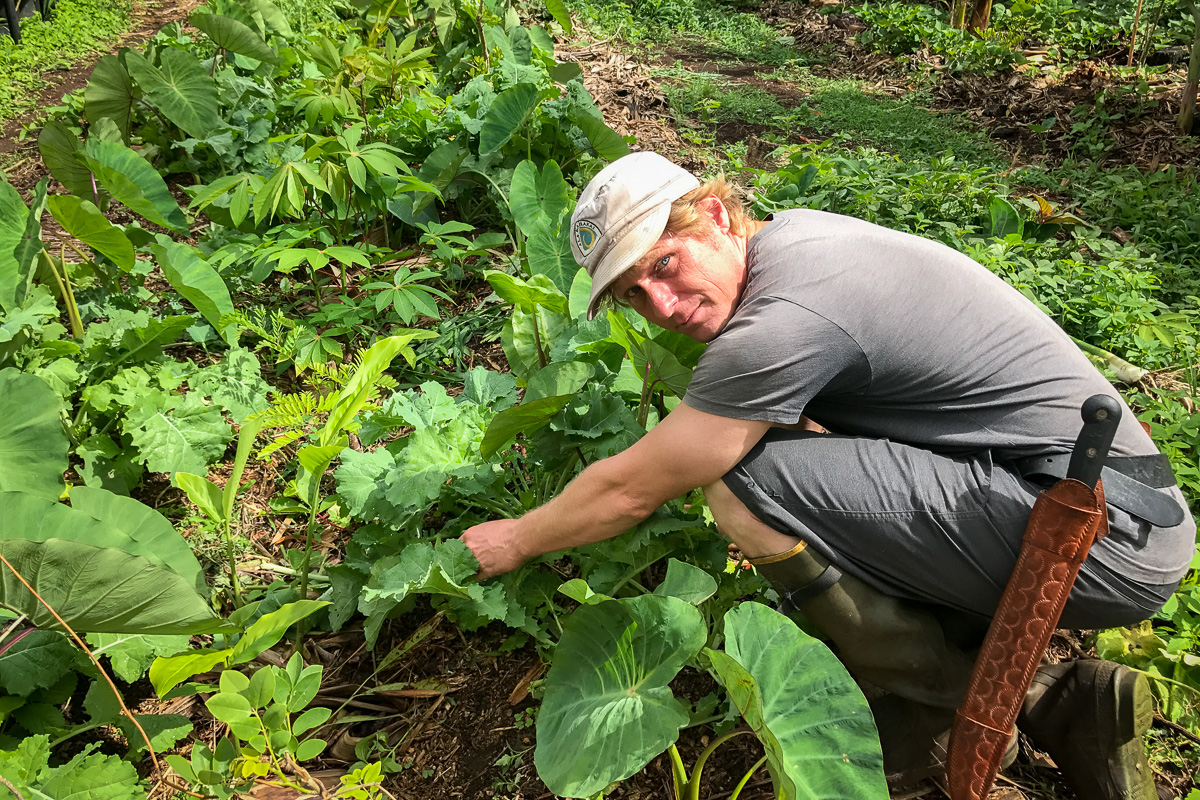 Saipan Agroforestry Workshop