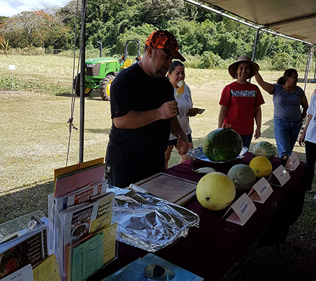 Agriculture Presentation on melon varieties