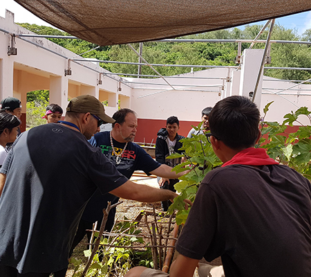 Tinian High School Ag Class Nursery