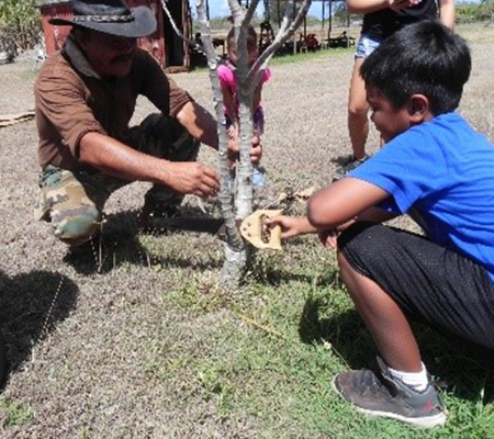 pruning-activity