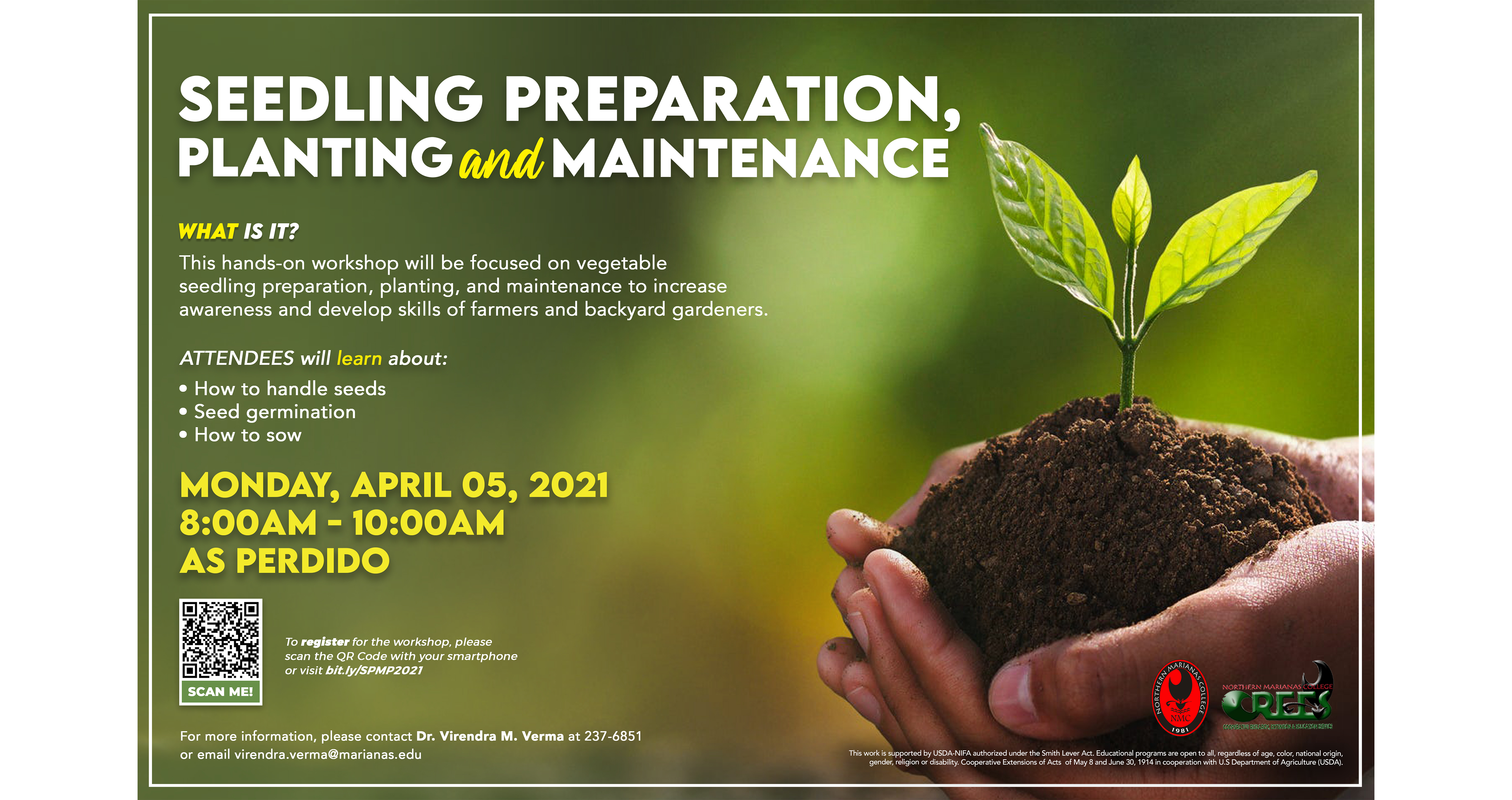 Seedling Preparation, Planting and Maintenance